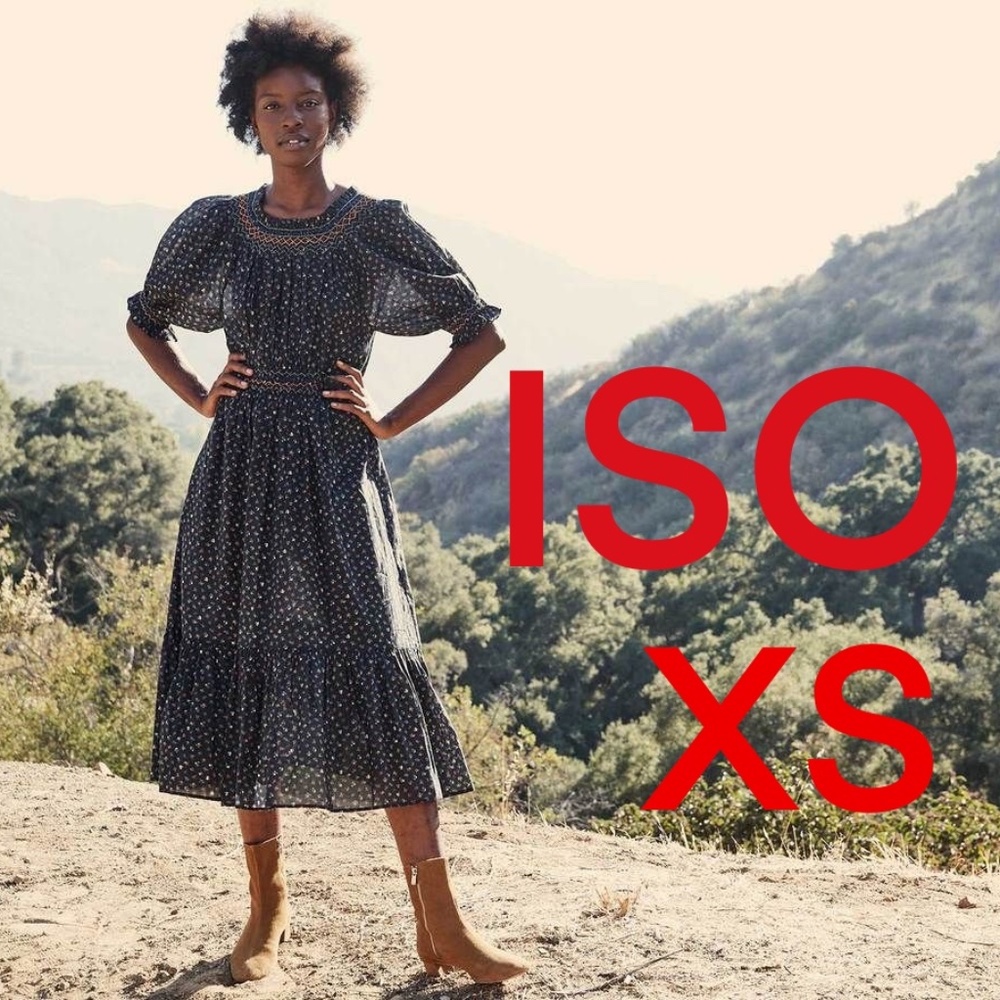 ISO In Search of Doen Isidore Dress XS